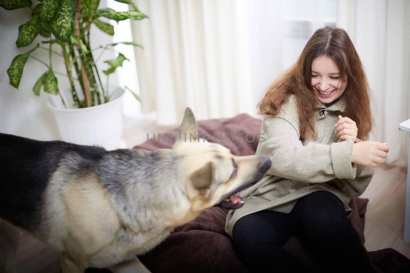 A woman sits on a soft mat, laughing while interacting playfully with her dog in a bright, comfortable indoor space.