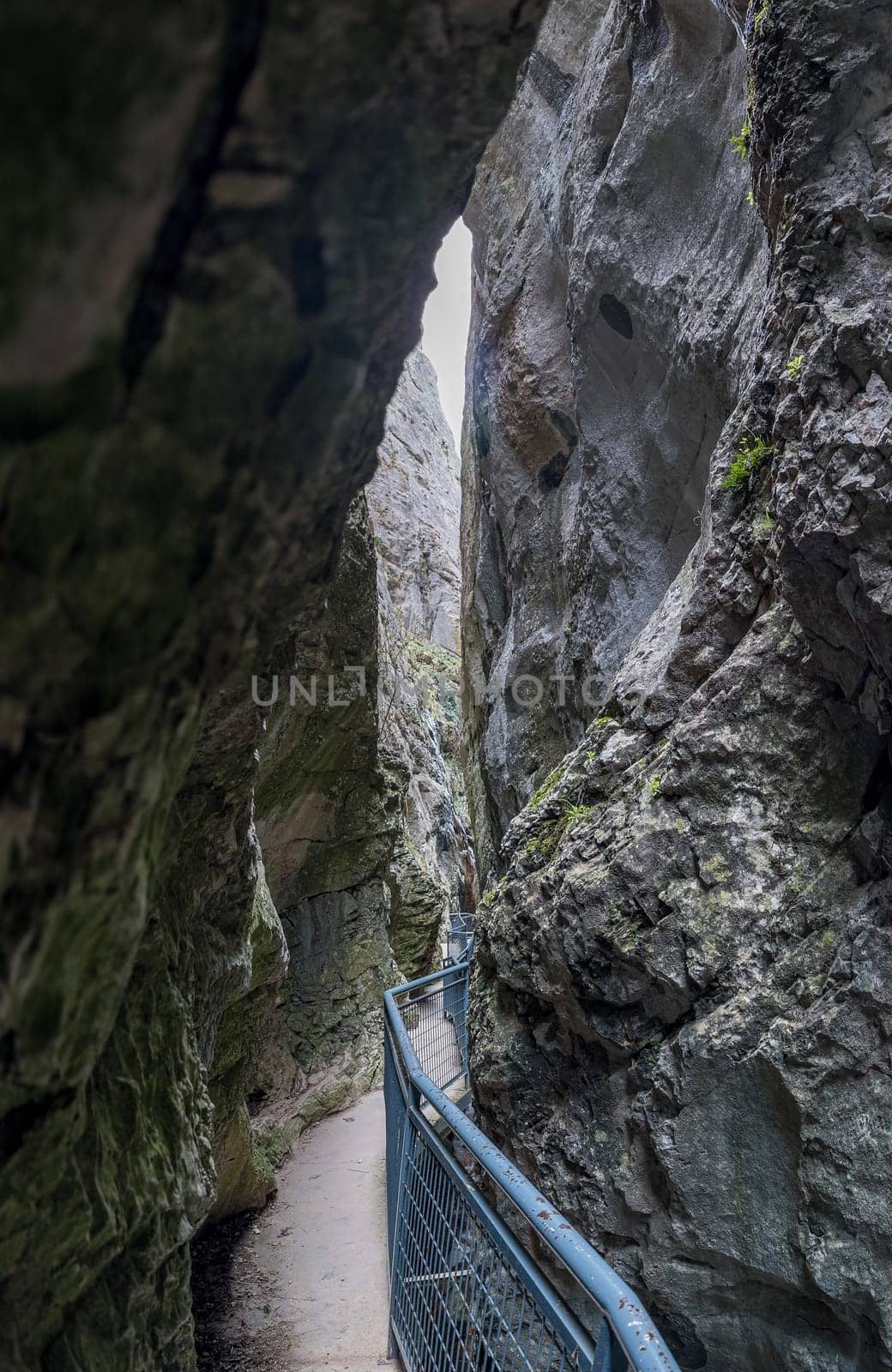 A narrow path winds through a rocky gorge, providing a dramatic and immersive natural beauty experience.