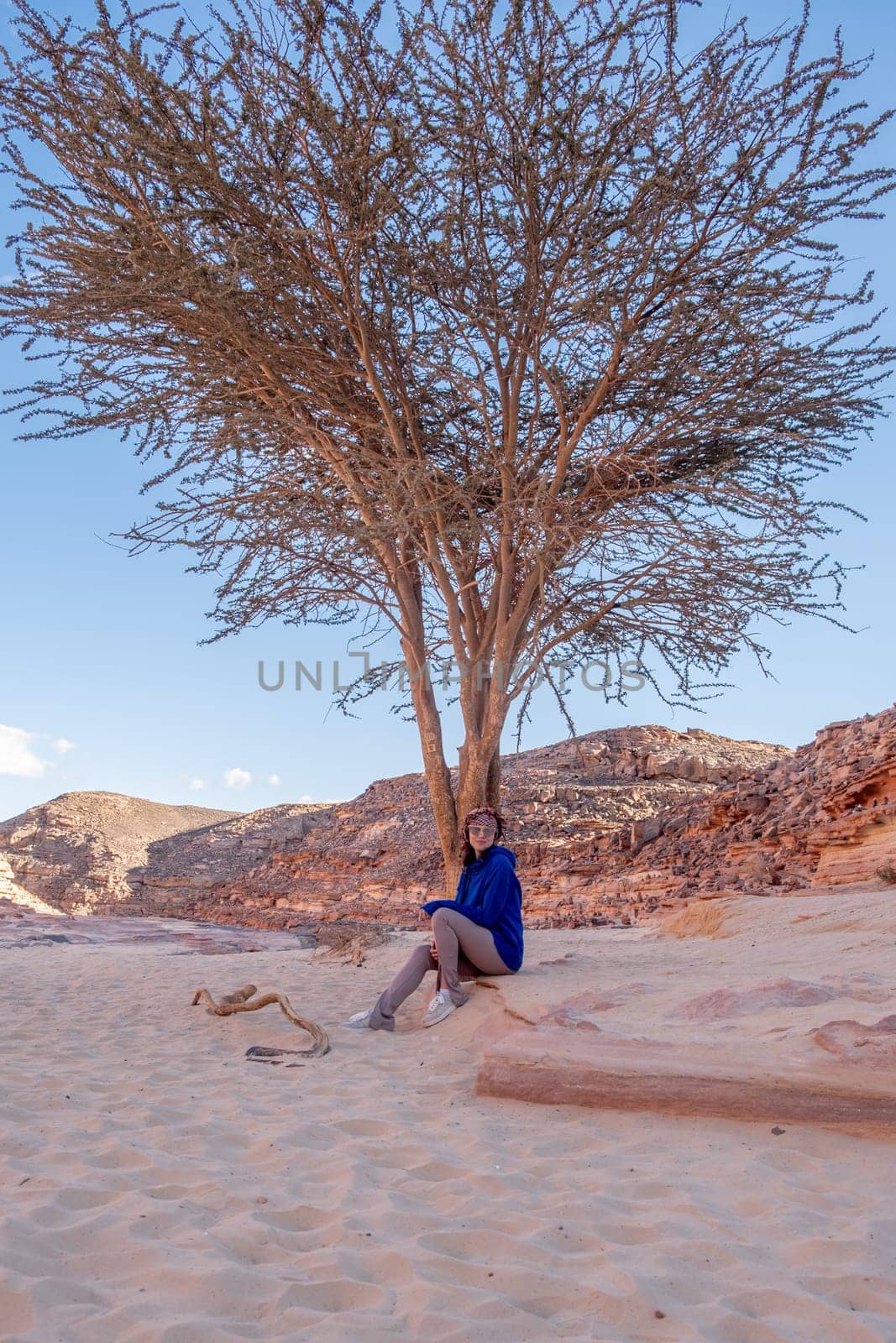 A visitor relaxes beneath a large tree in Tsvetnoy Canyon, Egypt, enjoying the serene desert landscape and stunning rock formations.
