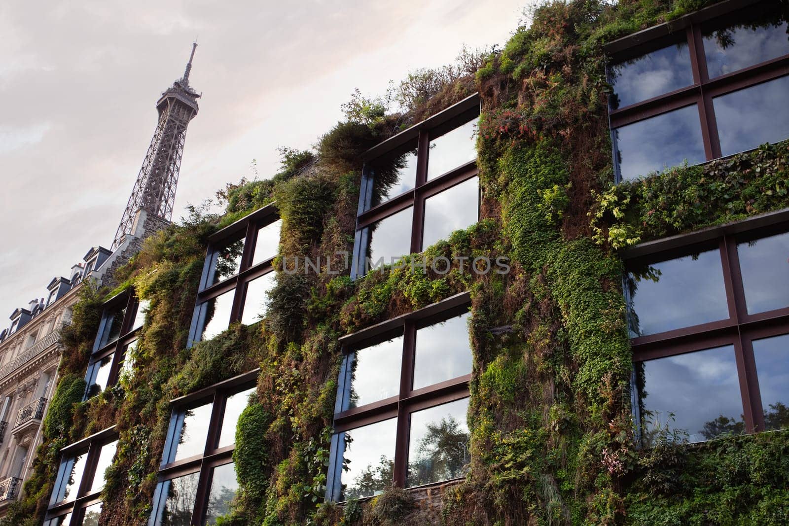 Green wall and Eiffel Tower