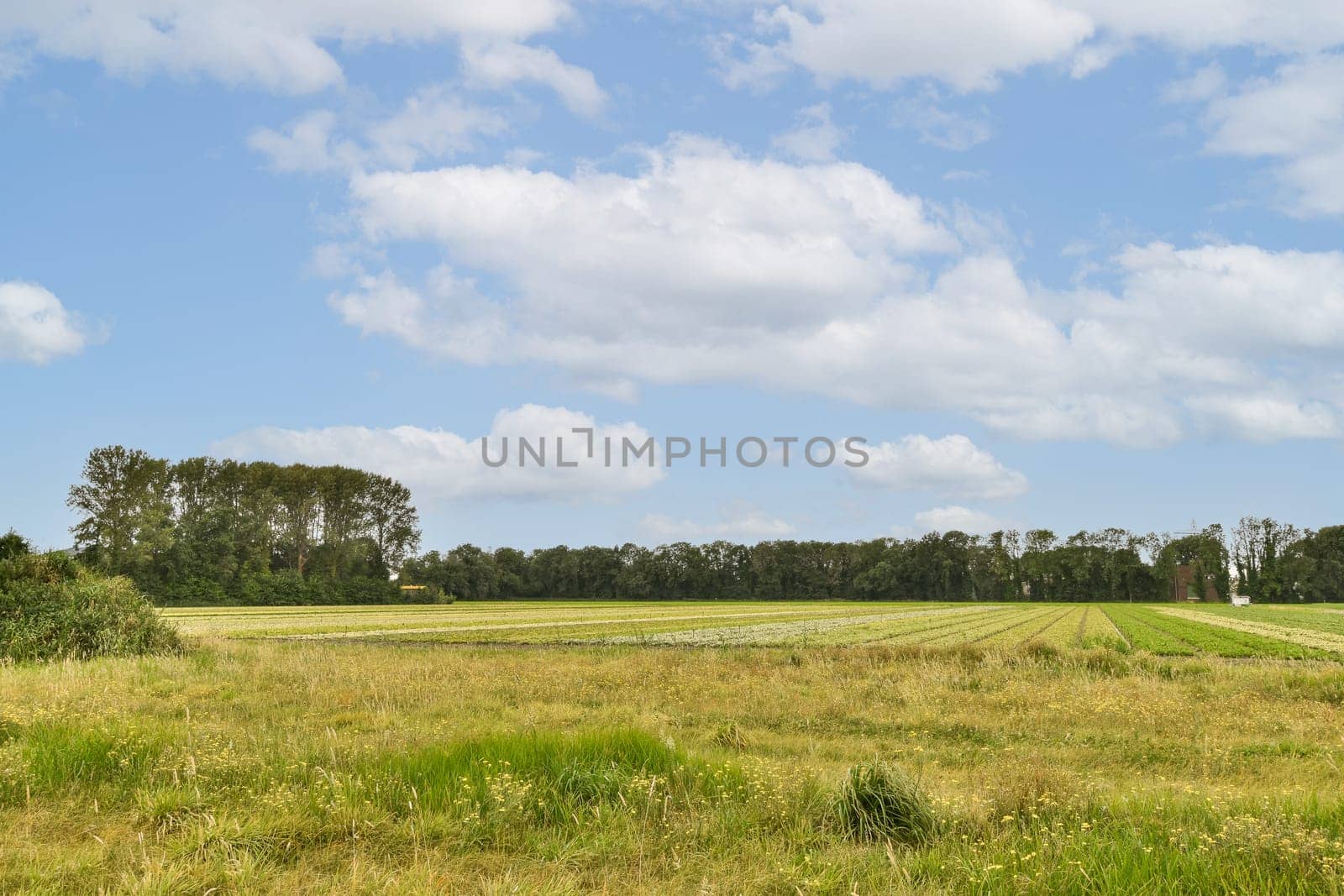 A beautiful landscape features expansive green fields and a sky scattered with clouds, showcasing nature's beauty and tranquility.