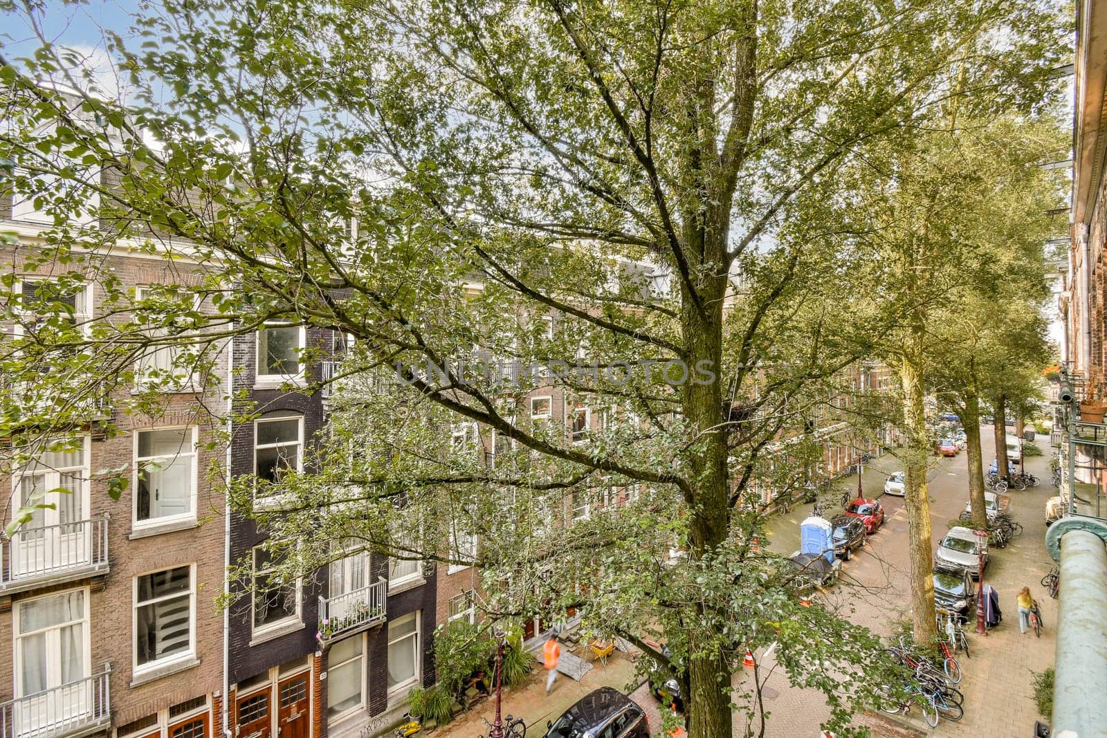 A vibrant urban scene featuring tall trees lining the street, showcasing the blend of nature and city life. Bicycles can be seen parked along the street.