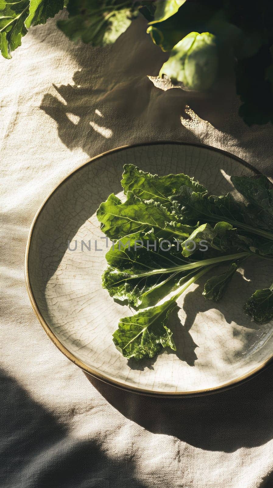 Fresh leafy greens rest on a crackled glaze ceramic plate, illuminated by sunlight filtering through a window. Shadows dance gently, enhancing the tranquil ambiance of the scene.