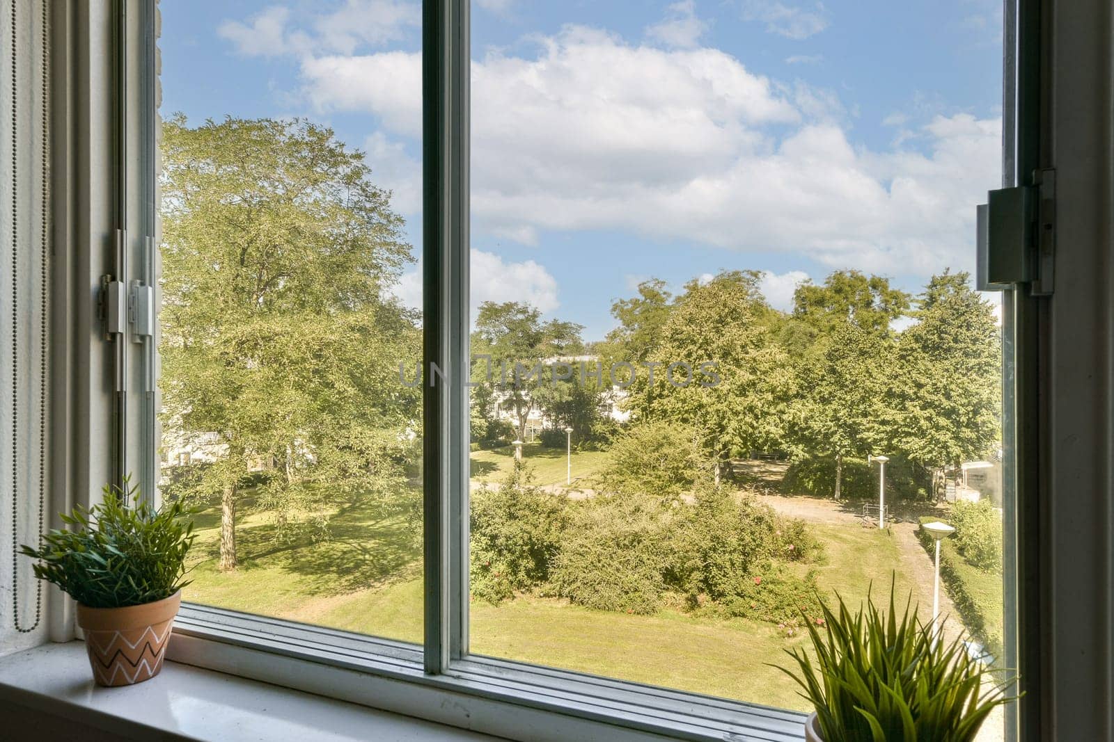 A peaceful outdoor view featuring lush greenery and blue skies as seen through a window, enhancing a serene home atmosphere.