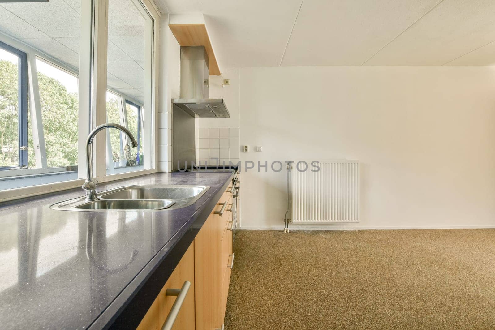 A spacious and modern kitchen featuring a sleek countertop, a sink, and large windows that allow natural light to fill the room, enhancing the contemporary design.