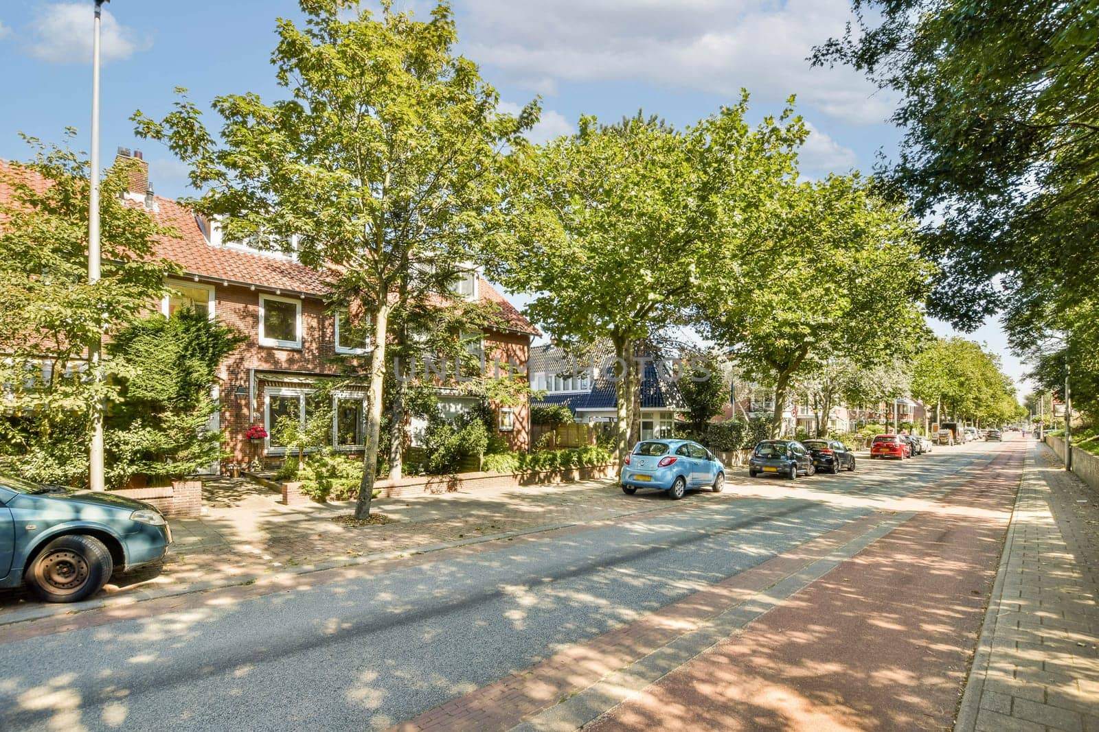 A picturesque view of a residential street lined with vibrant trees, showcasing parked cars and charming houses on a sunny day.