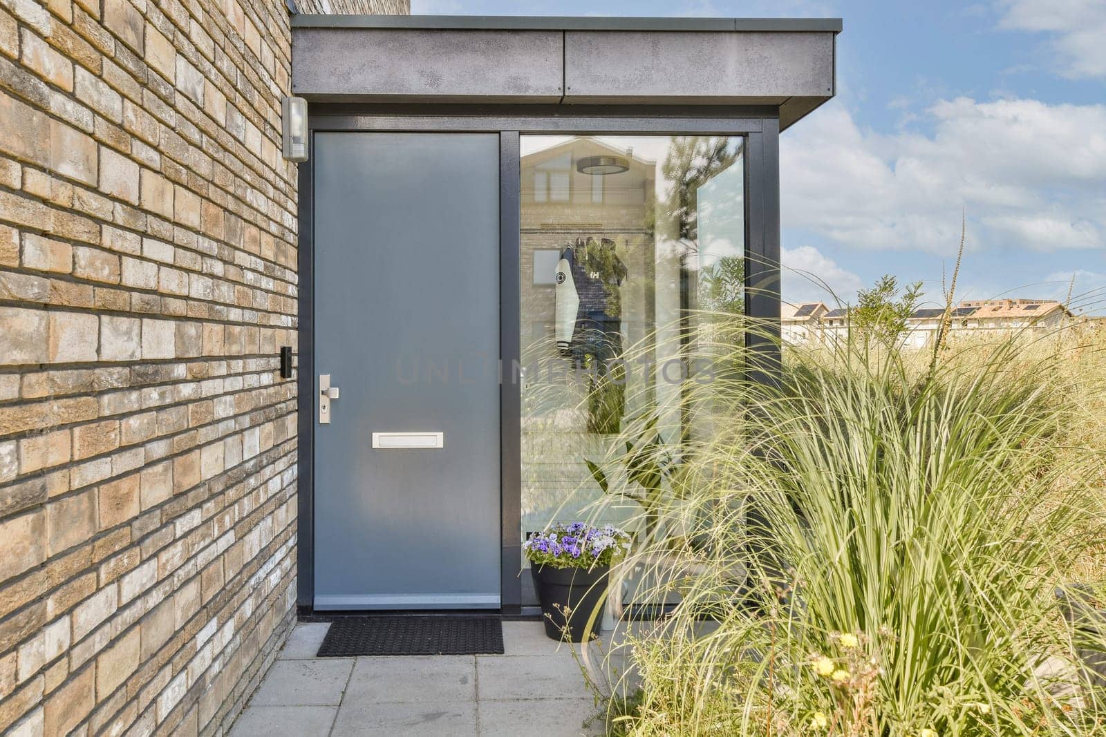 A stylish modern entrance featuring a sleek door, surrounding glass panels, and lush greenery. Design highlights blend functionality and aesthetics seamlessly.