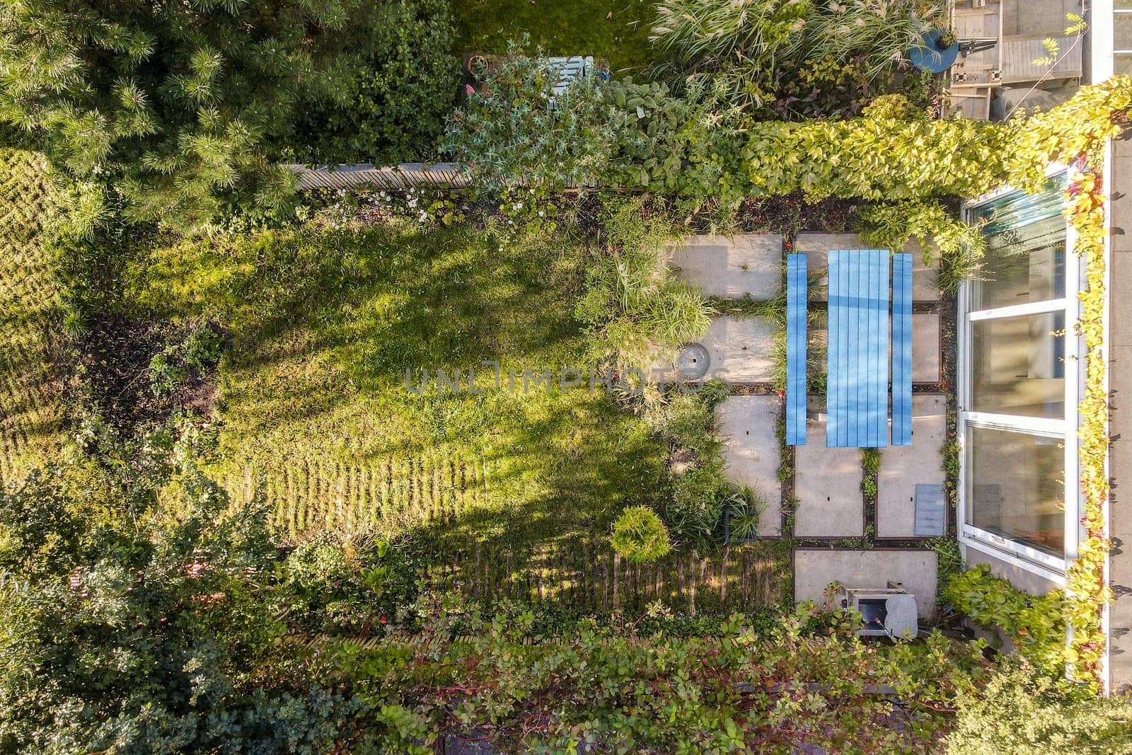 An expansive garden featuring lush greenery, a stone path, and a set of blue outdoor chairs, perfect for relaxing in nature's tranquility.