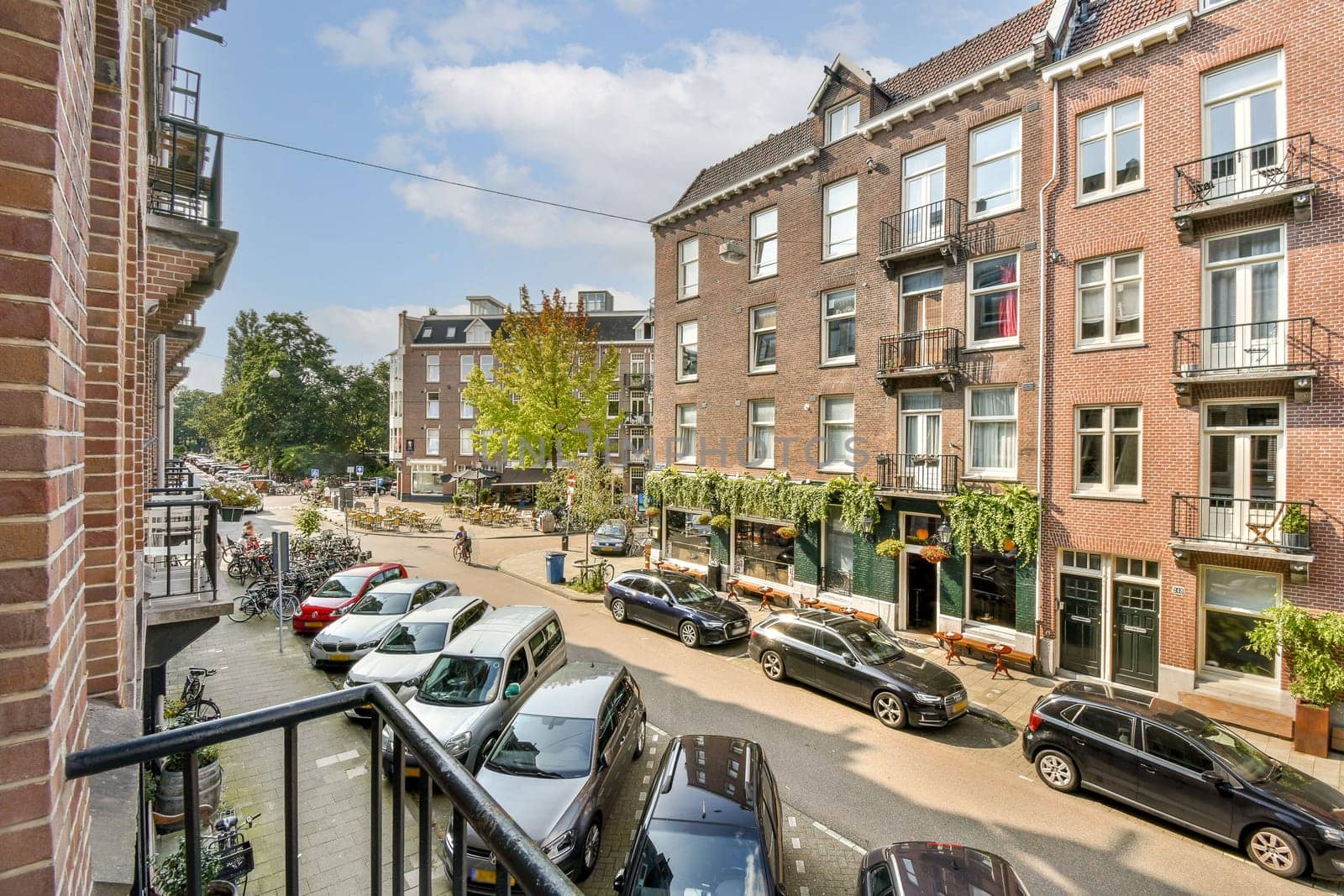 A picturesque street view showcasing historic buildings lined with trees and parked cars, capturing the essence of urban life and architecture.
