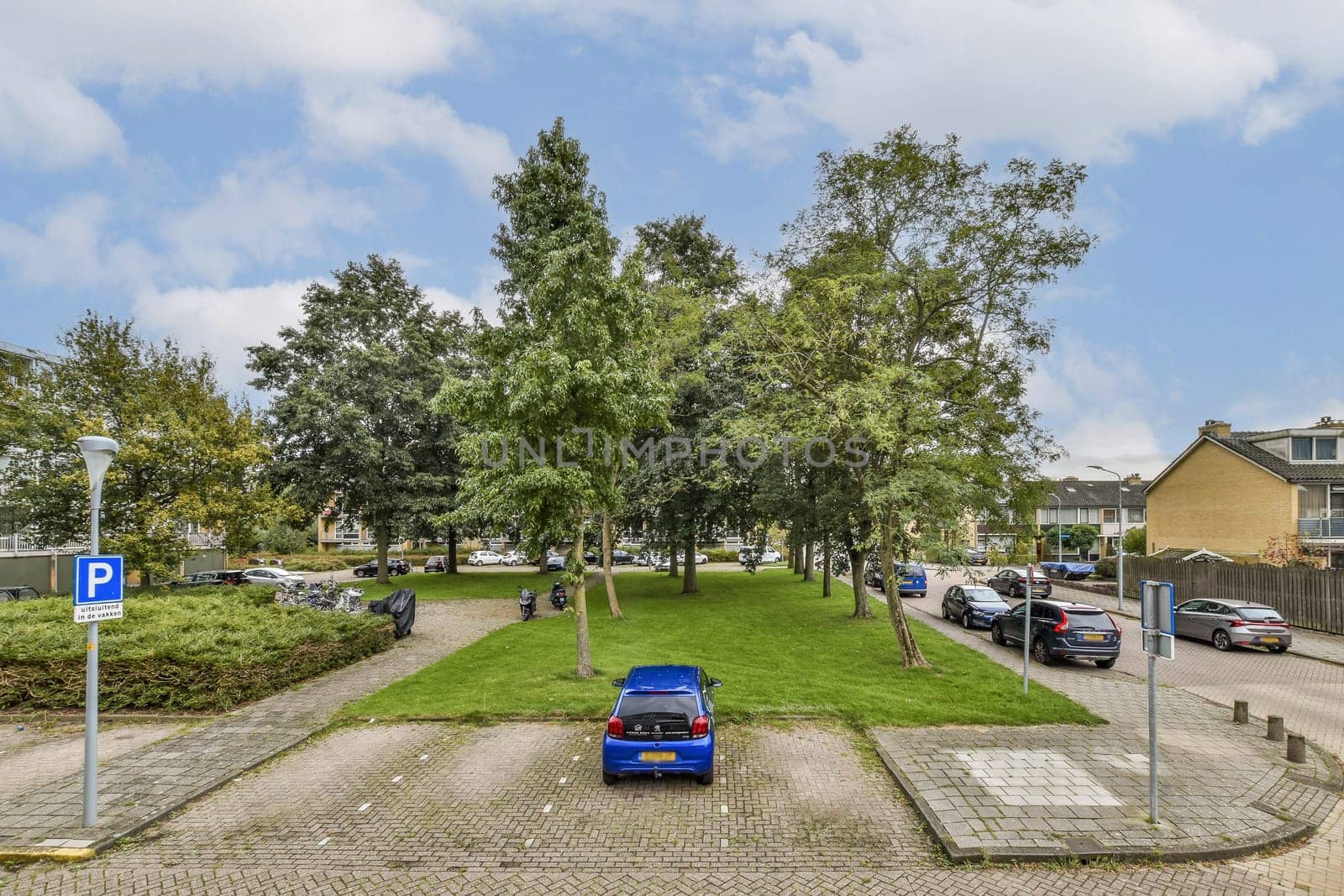 A serene urban park scene featuring green trees, parked cars, and people walking, creating a tranquil atmosphere in the city.