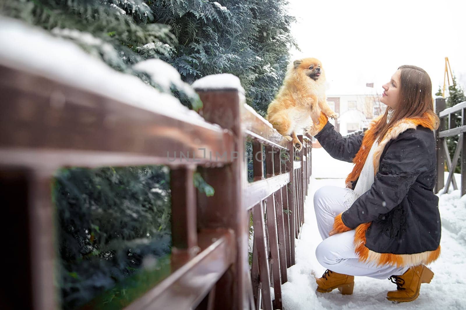 A cheerful Pomeranian dog is being lovingly petted by its owner while walking through a snowy landscape.