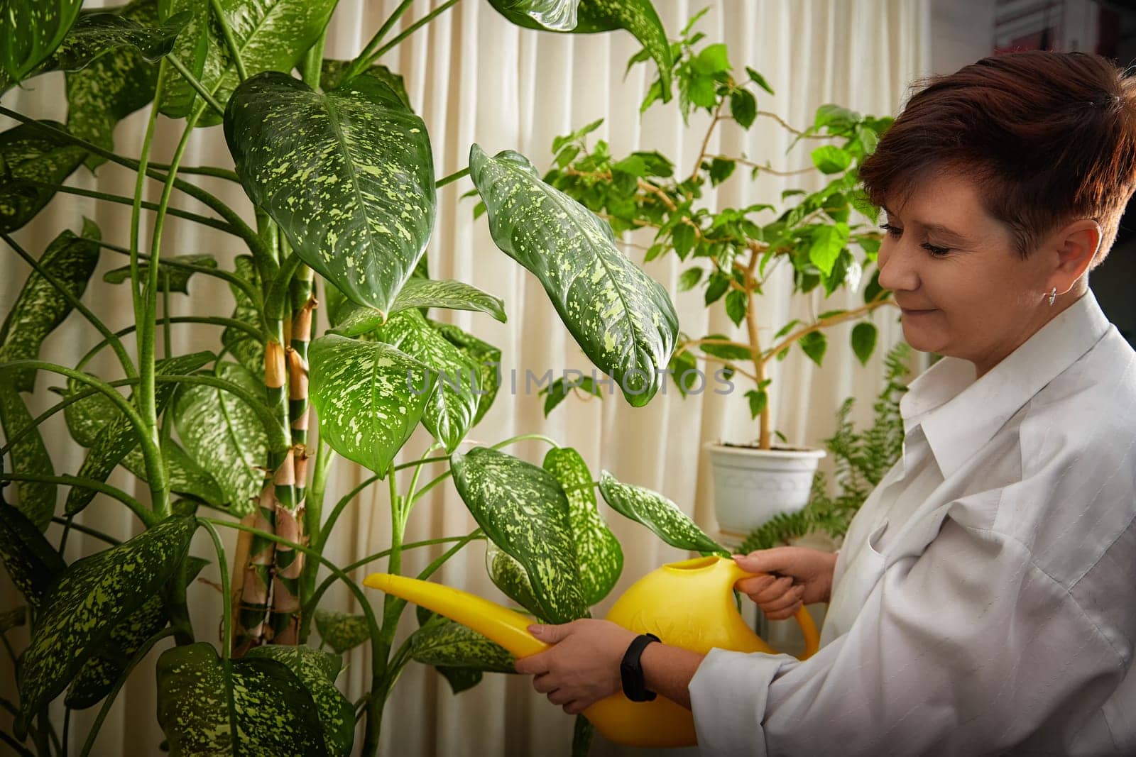Woman joyfully waters her houseplants in a comfortable room filled with greenery and natural light.
