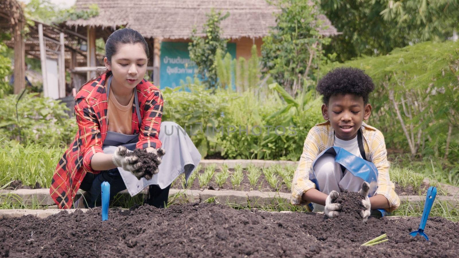 Happy children group girl and boy of diverse learning environment for plants vegetable at garden farm they holding black soil on hands, Ecology, agriculture school learning
