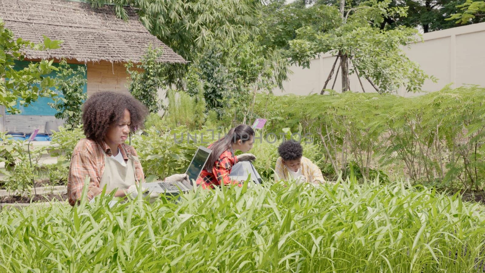 Children group girl and boy of diverse learning environment for plants vegetable at garden farm, Cute child learn gardening, Ecology, organic food, agriculture, do research with laptop computer