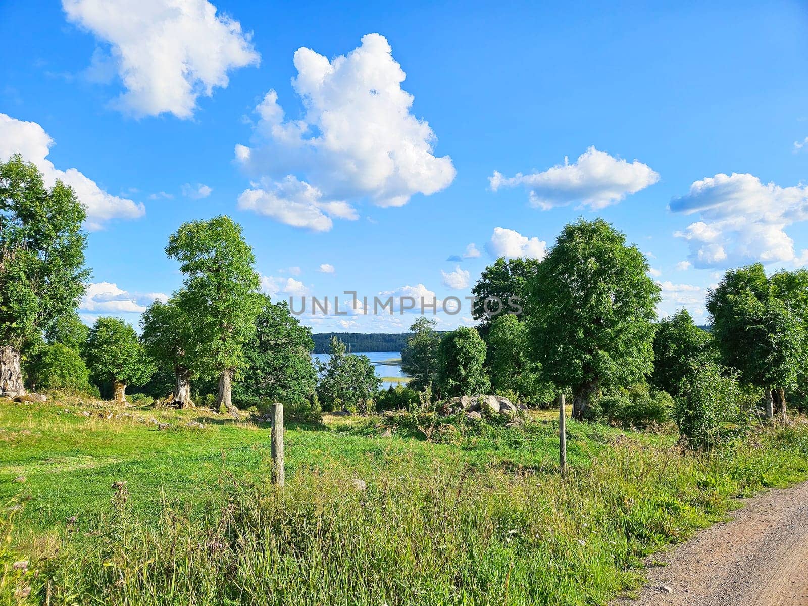 Green field with trees and a glittering lake in the background, under a blue sky with white clouds. Ideal for nature photography and landscape themes.