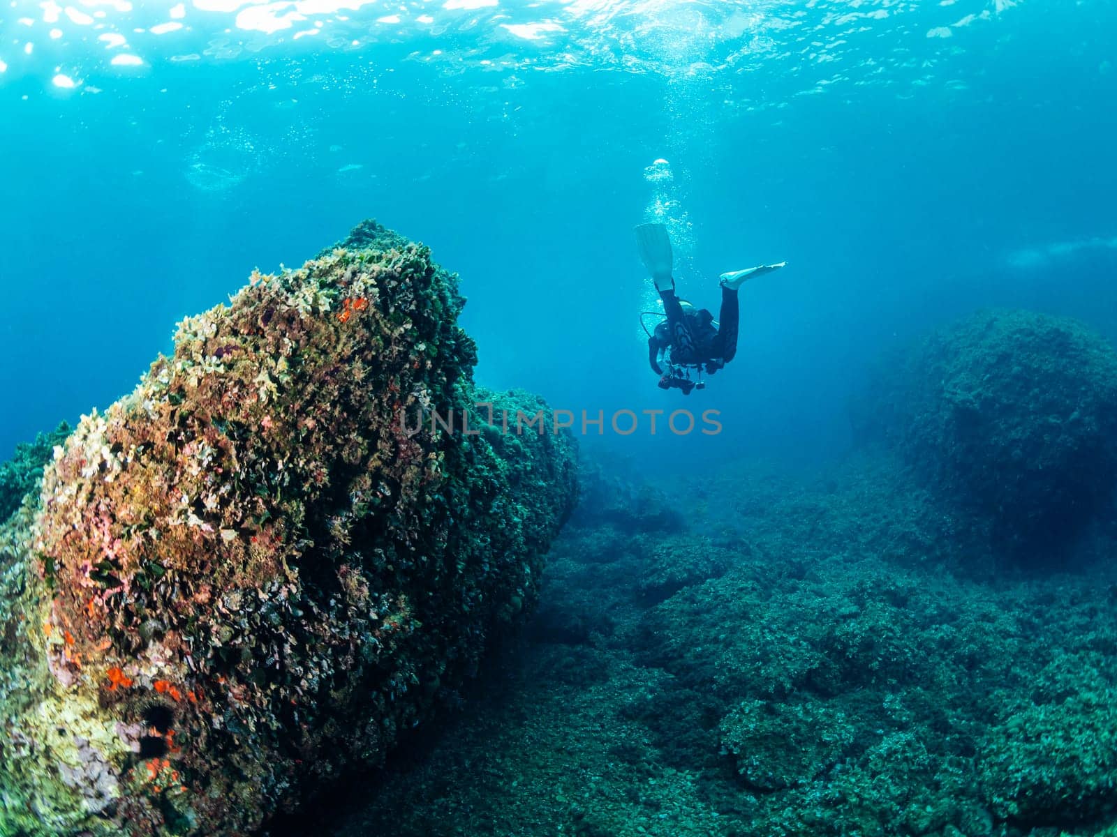 scuba diver diving into the blue ocean next to the rocky bottom, concept of active leisure lifestyle and underwater adventure, copyspace for text