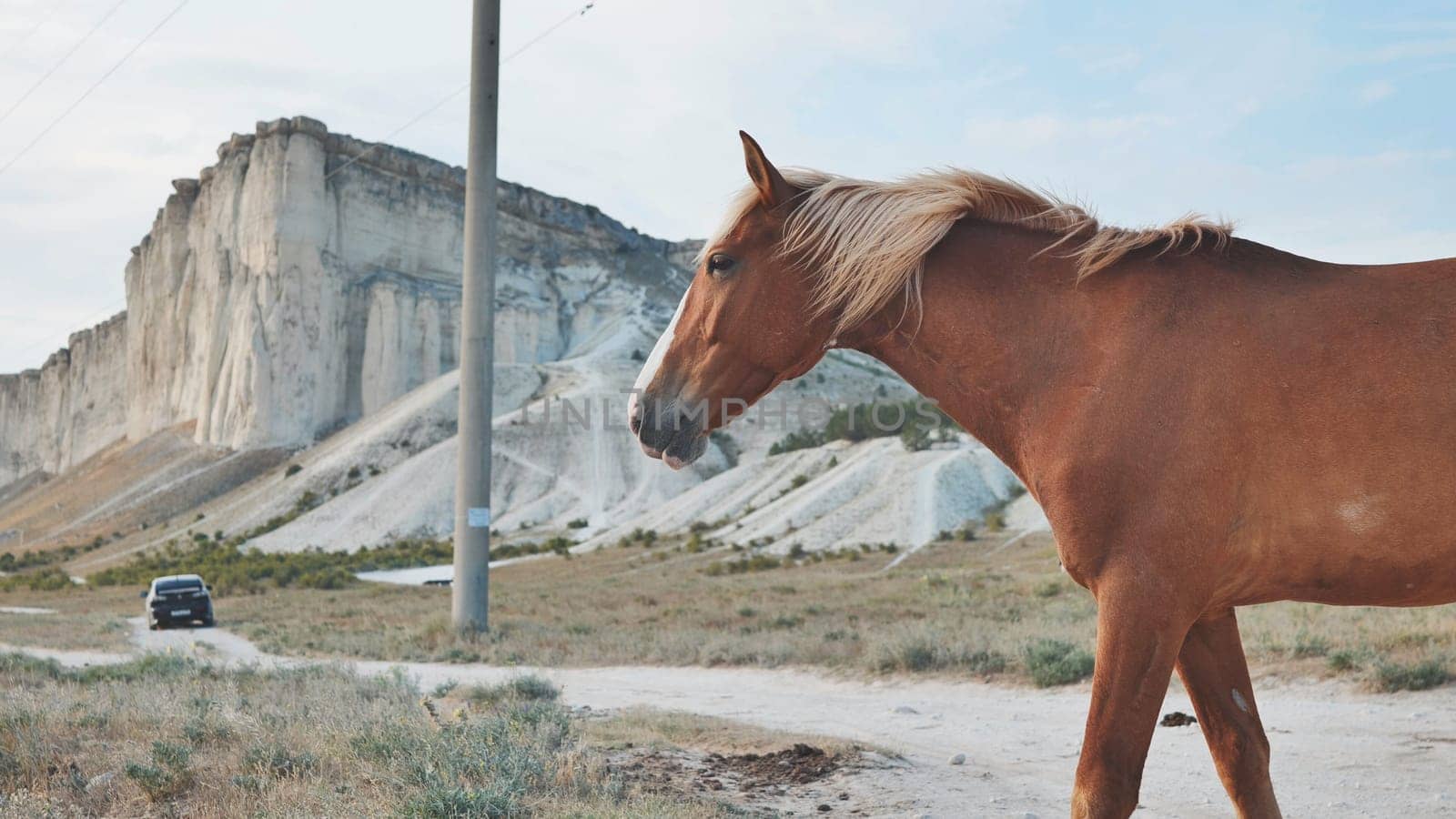 Chestnut horse moving across grassy meadow with rocky mountain range towering behind, scenic crimean countryside setting