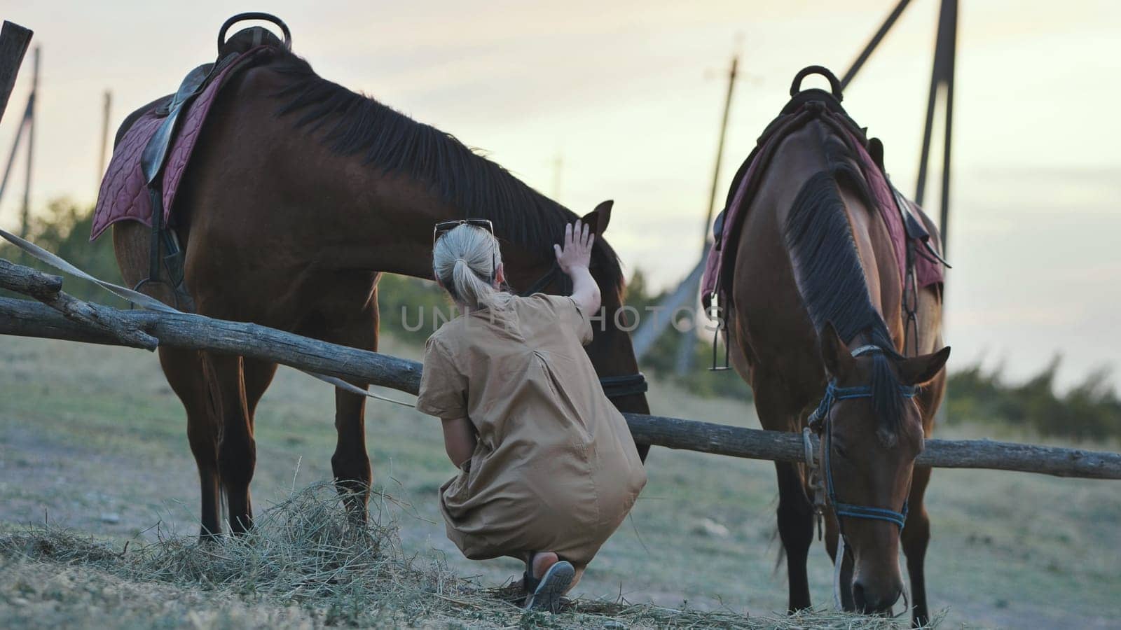 Female rancher taking care of her horses in a paddock at sunset, creating a peaceful rural scene