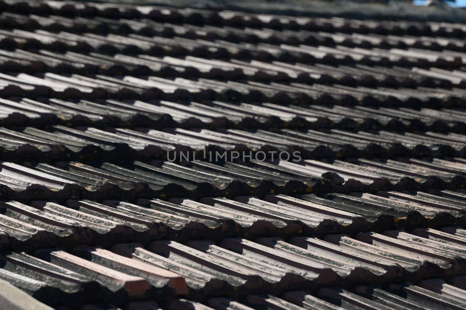 Sunlight reflects off the textured surface of traditional roof tiles in a peaceful village, highlighting the craftsmanship and timeless design. Nature and architecture blend harmoniously above.