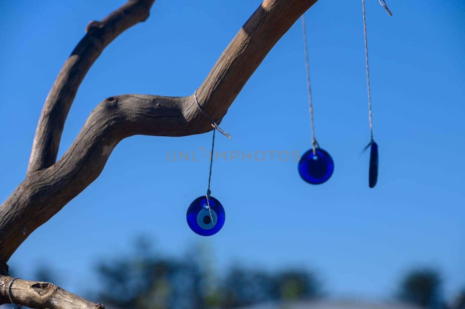 In a tranquil outdoor setting, striking blue glass ornaments are suspended from a gnarled branch, catching the sunlight against the backdrop of a serene sky, evoking a sense of peace.