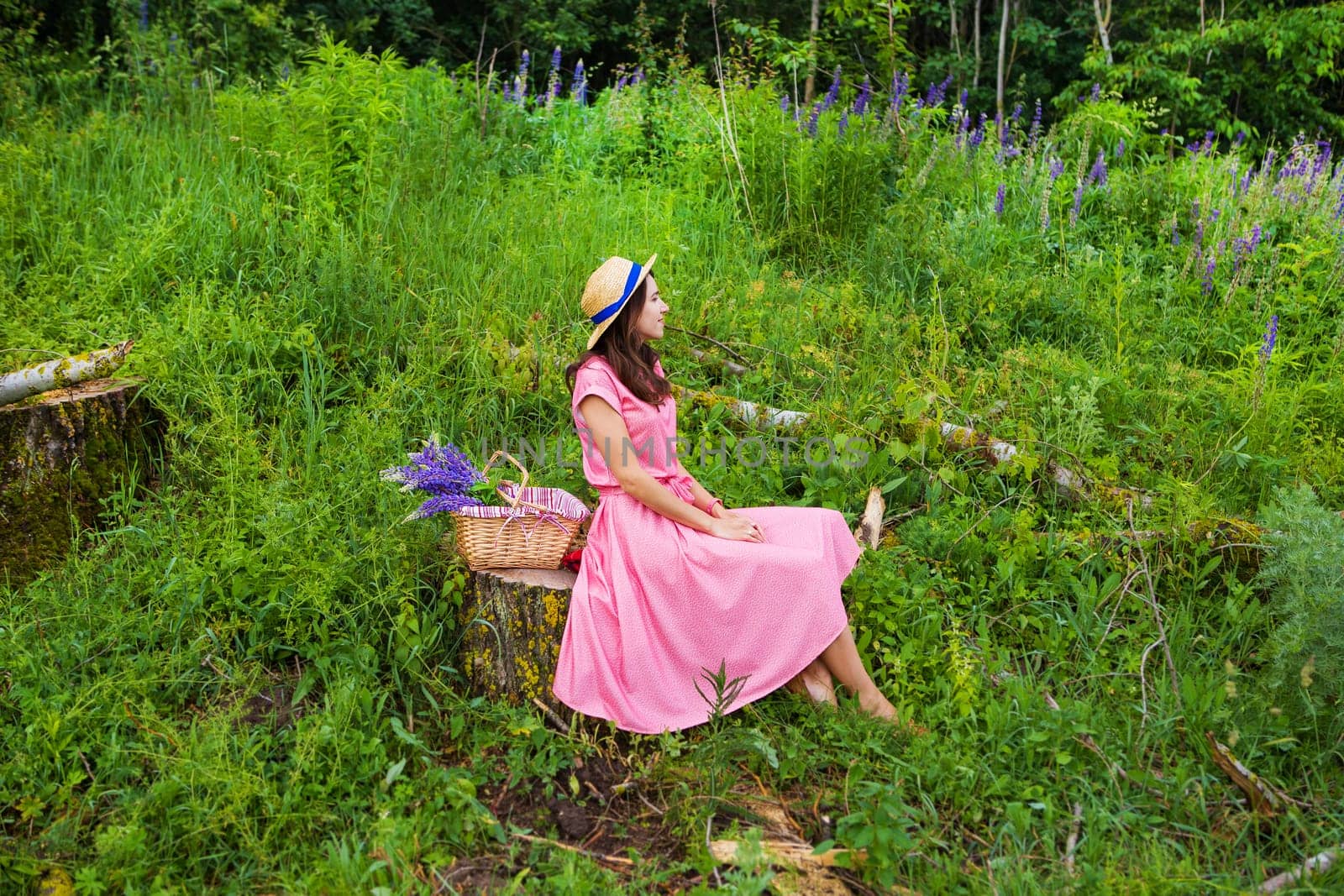 A young woman in a pink dress sits on a tree stump in a lush green meadow, enjoying a summer day with wildflowers and a picnic basket.