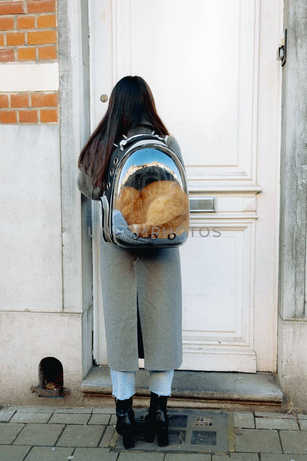 Portrait of a young Caucasian brunette girl from the back in full growth in a gray coat with a transparent backpack with a red calm sleeping cat, which sits inside and opens the front door with a key, returning from a walk, side view close-up. Concept of a visit to the vet, walks with pets.