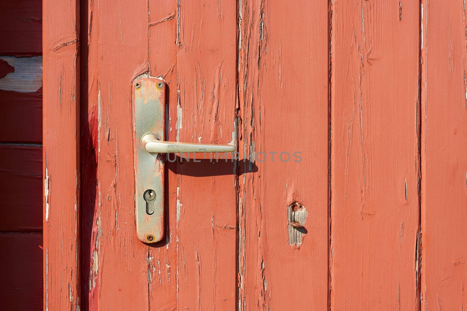 old wooden door to a garden house with door handle and peeling red paint, falun red