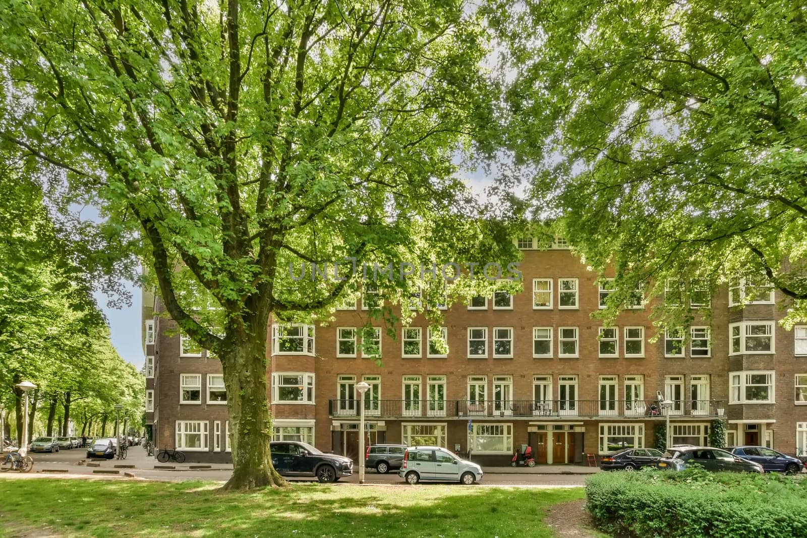 an apartment in the netherlands, with cars parked on the street and green trees lining the side of the building