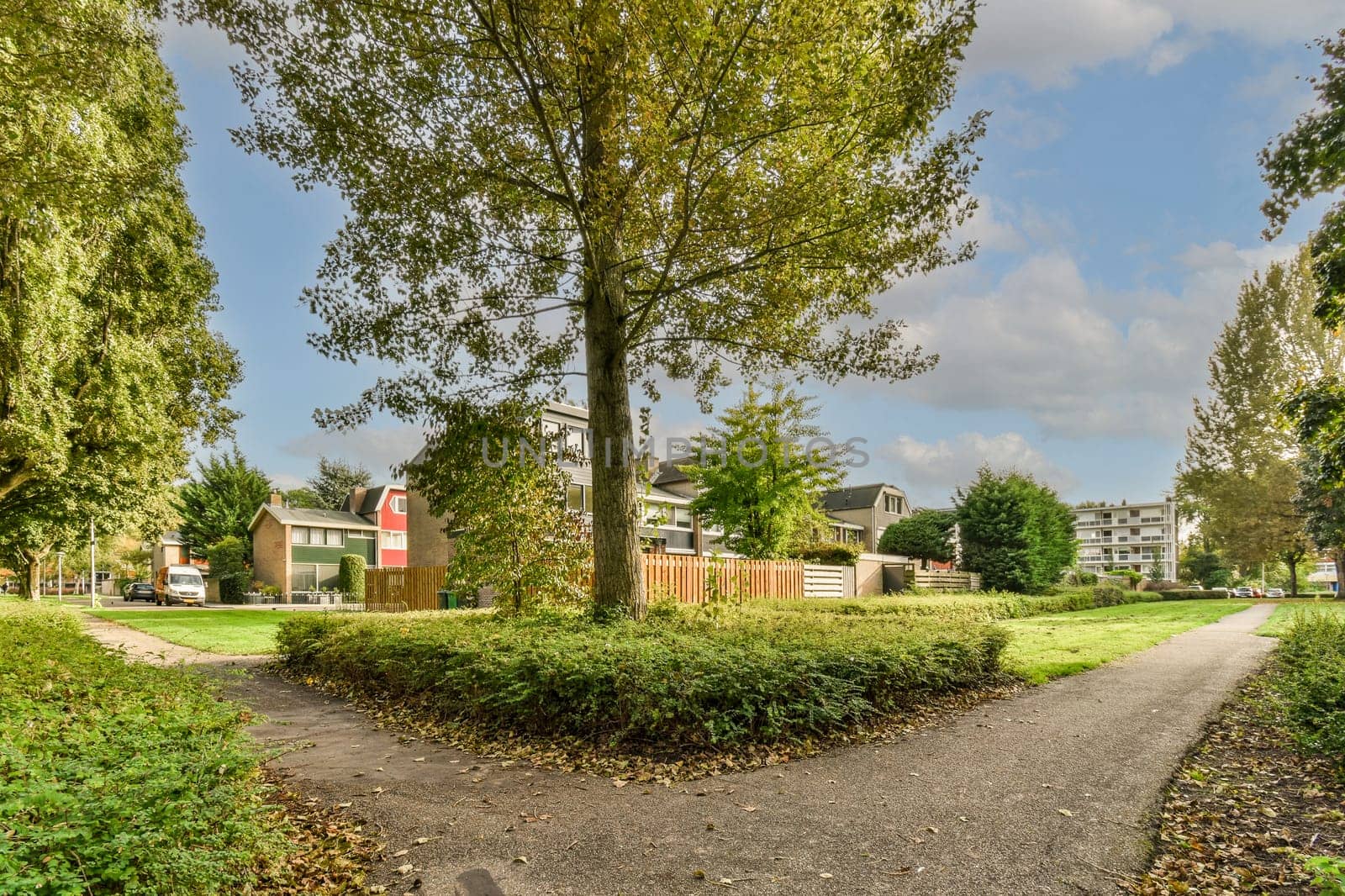 a tree in the middle of a residential area with leaves on the ground, and houses in the distance to the right