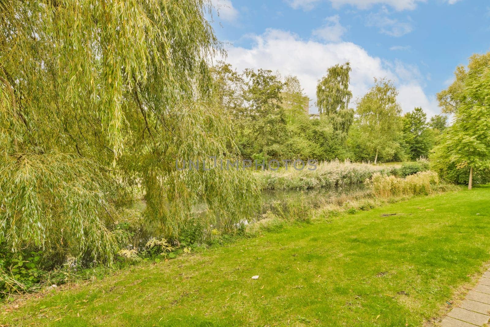 some trees and grass in the park with blue sky background stock photo - 12309783 jpd