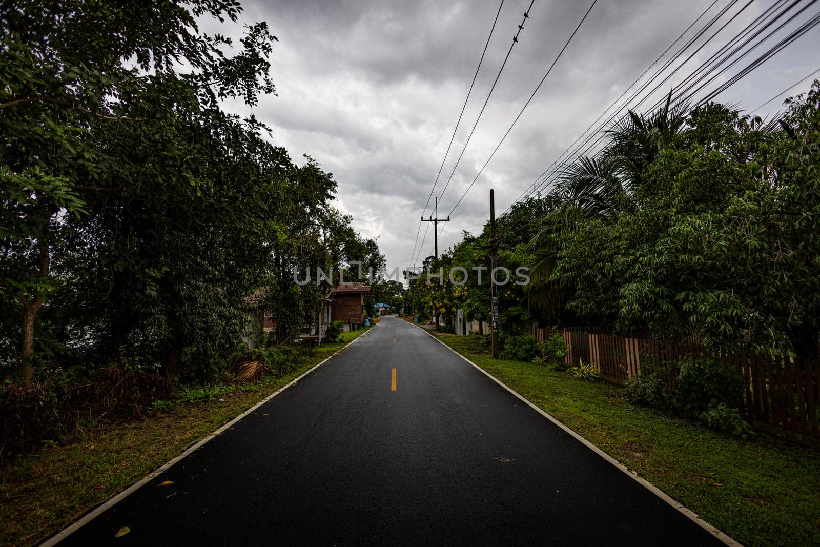 Country road in Manorom District, Chai Nat Province, Background for advertising and wallpaper in natural environment and nature scene