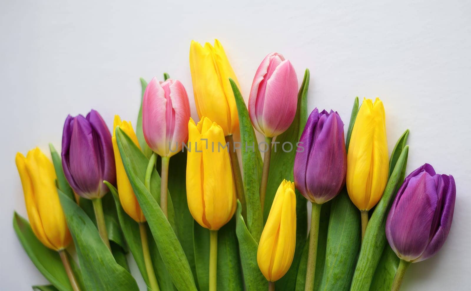 A vibrant arrangement of tulips in various colors including purple, yellow, and pink stands out against a light backdrop. This display captures the essence of spring with blooming flowers.
