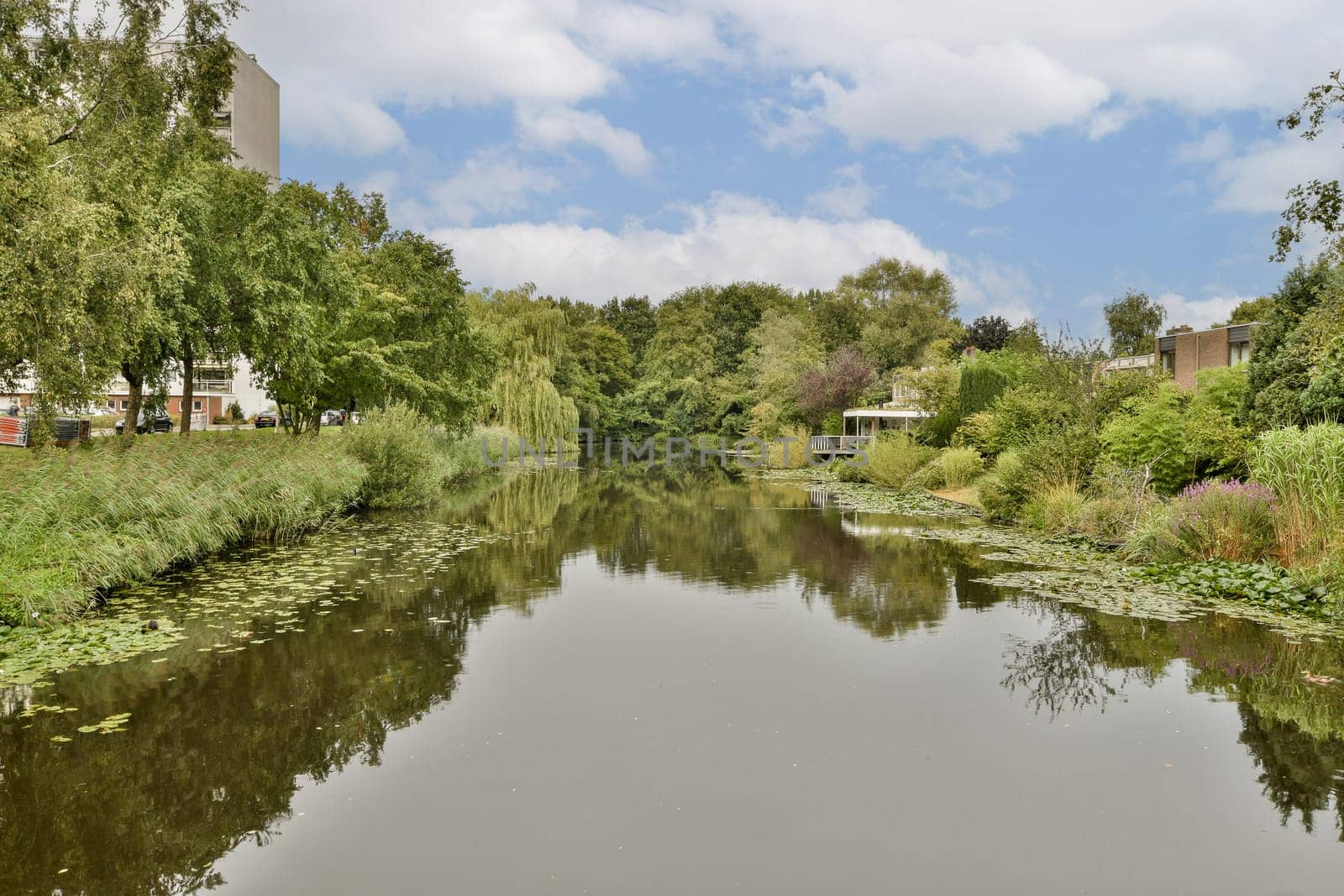 A serene view of a river reflecting lush greenery and buildings, showcasing a harmonious blend of nature and urban life.