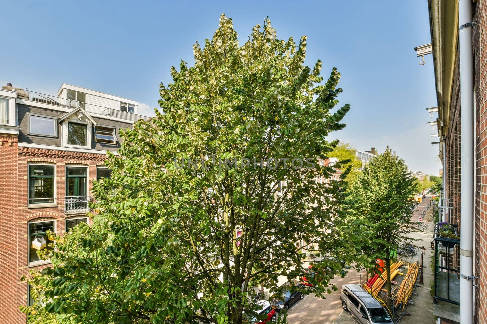A vibrant scene showcasing a large leafy tree amidst a charming urban landscape, blending nature with city life.