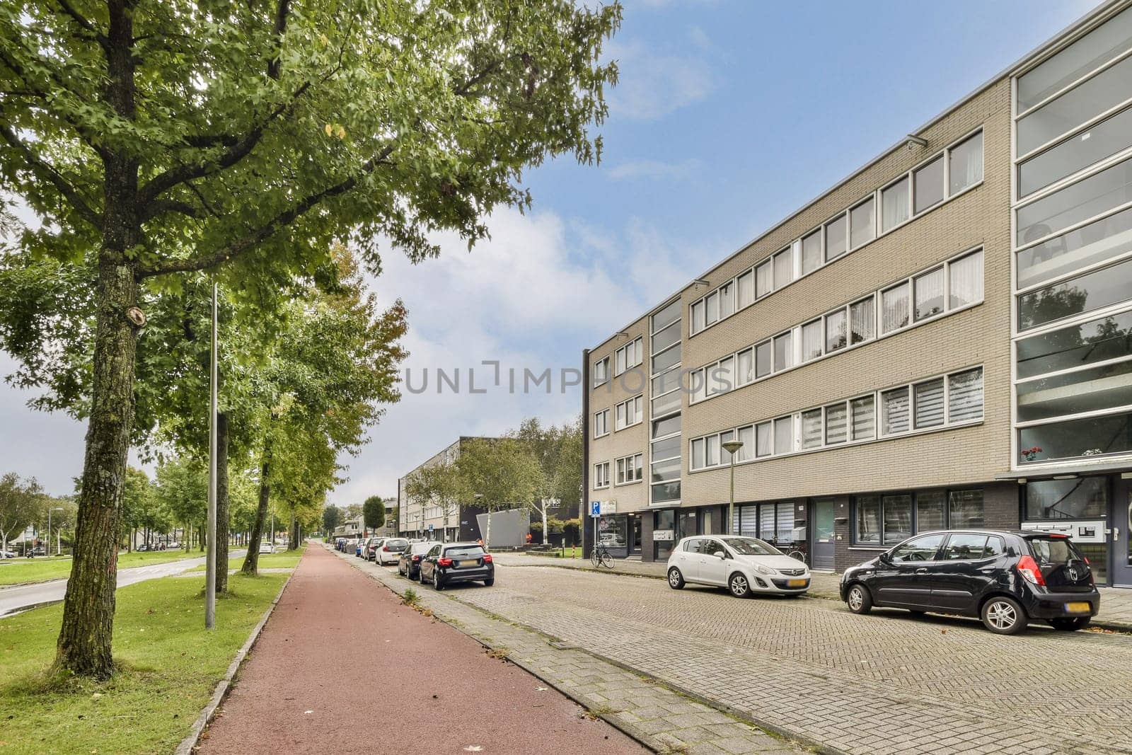 A vibrant urban landscape featuring a tree-lined street, parked cars, and modern buildings, showcasing a blend of nature and city life.