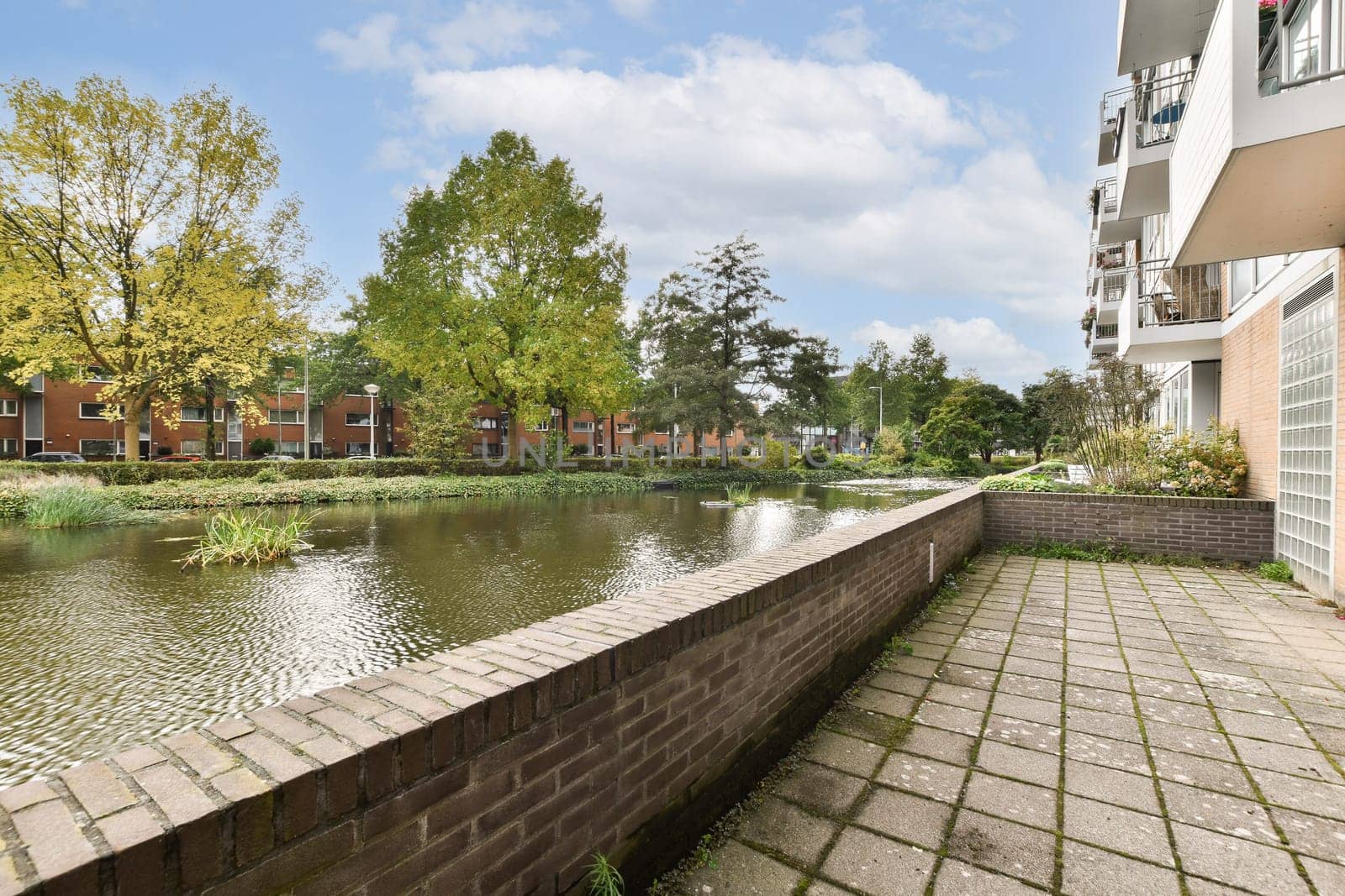 A tranquil view showcasing a riverside pathway lined with trees and residential buildings in the background, capturing the essence of nature in an urban setting.