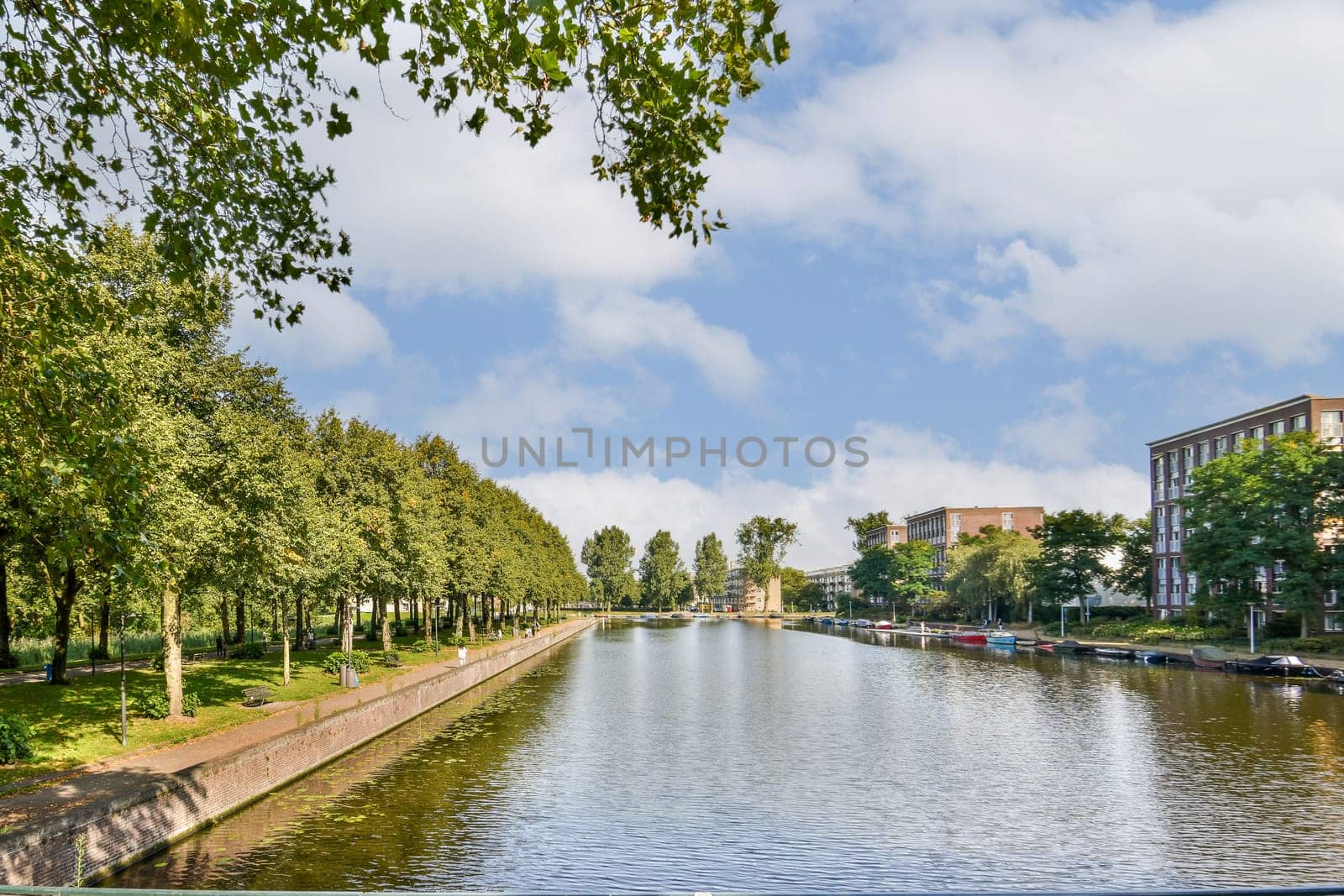 A picturesque view of a serene river gently flowing alongside a line of green trees, under a bright, partly cloudy sky. A peaceful escape into nature.