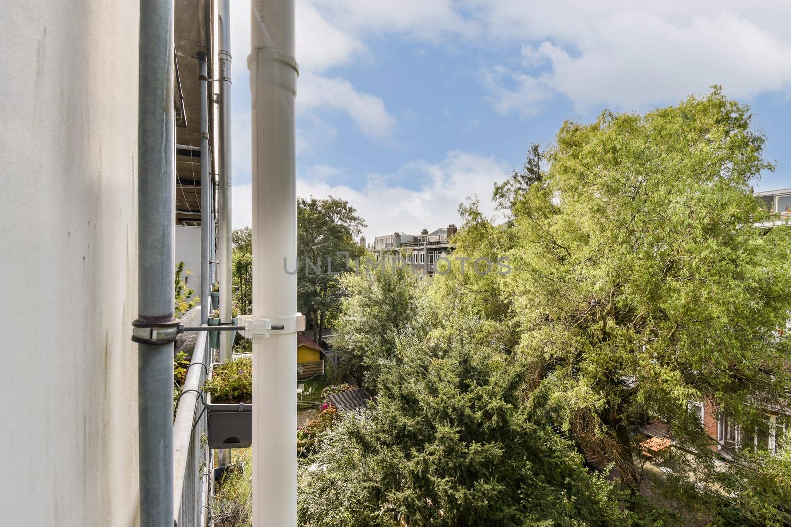 An inviting view from an urban balcony showcasing vibrant trees and plants, contrasting with a modern building structure under a blue sky.