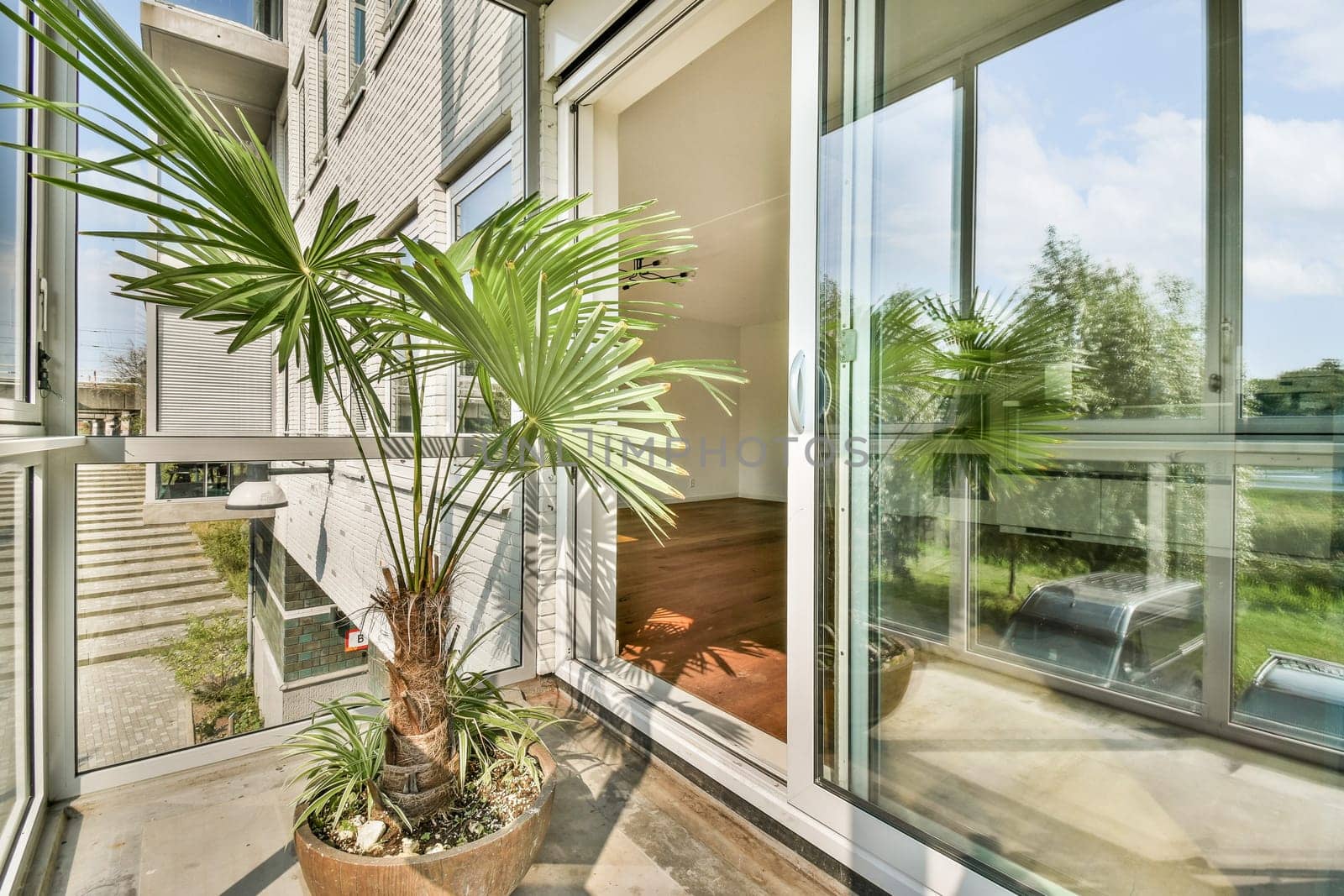 A vibrant indoor space featuring a lush green plant beside large glass windows, blending indoor comfort with outdoor views.