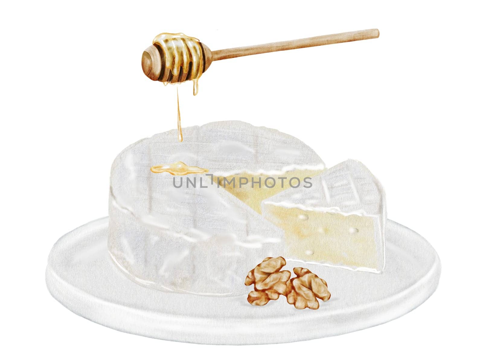 Camembert or brie cheese on a white plate watercolor drawing. Hand drawn illustration of dairy cream product with honey and walnuts of French cuisine. Clip art of food on white background. Ideal for packaging of farm organic product or restaurant menu design. High quality illustration