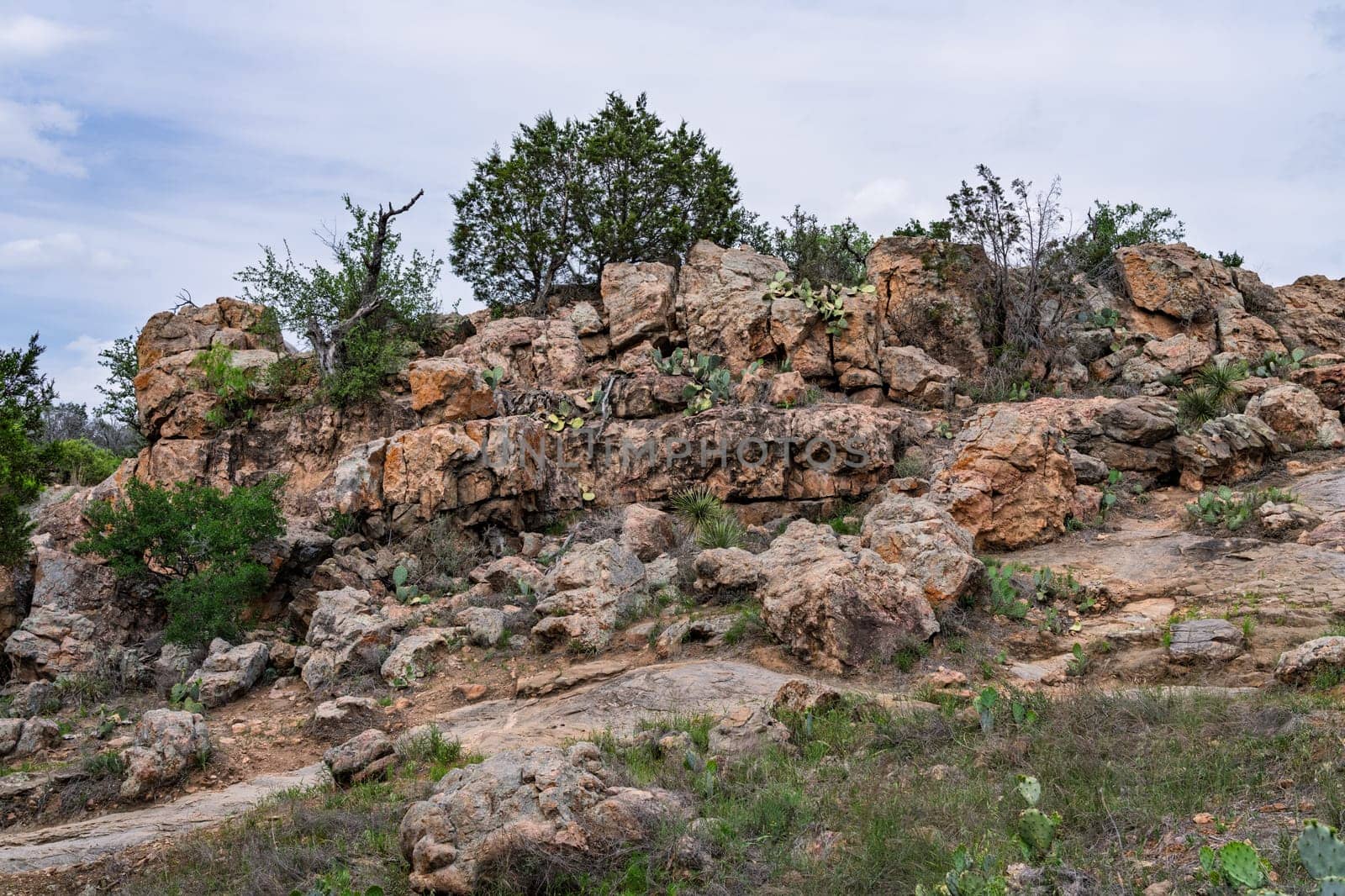 Granite outcropping with cactus and hardy trees growing alongside Ink Lake State Park in Texas
