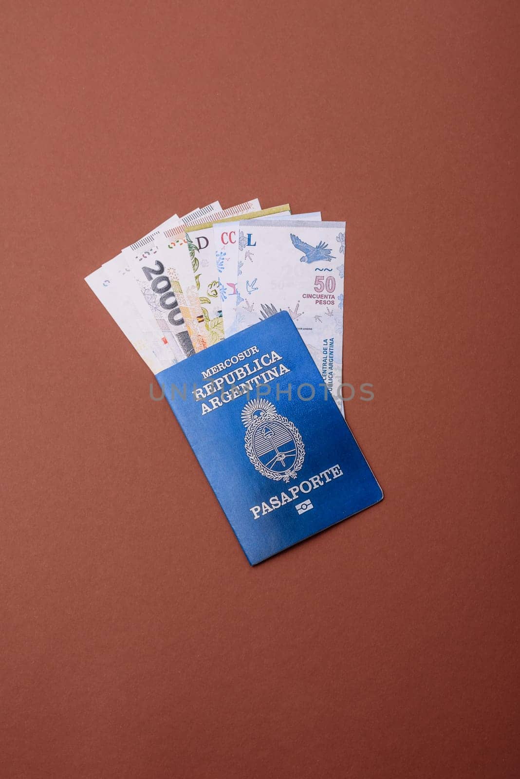 Argentine passport for travelling, flying and doing business. Argentina document, id for crossing the border