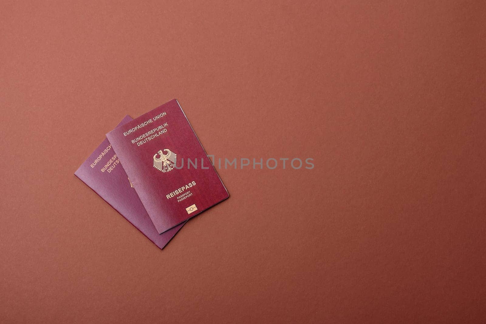 German passport, German document for travelling, border crossing, for business purposes
