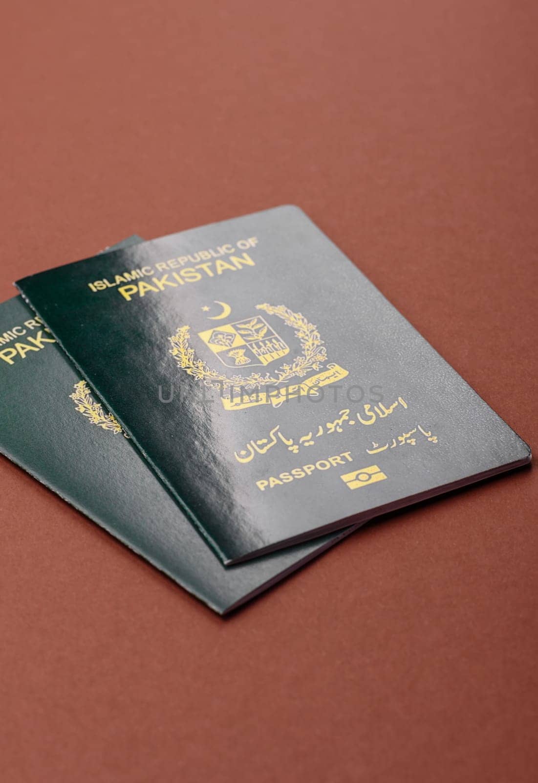 Pakistanian International Citizen Passport for global business, emigration and travel
