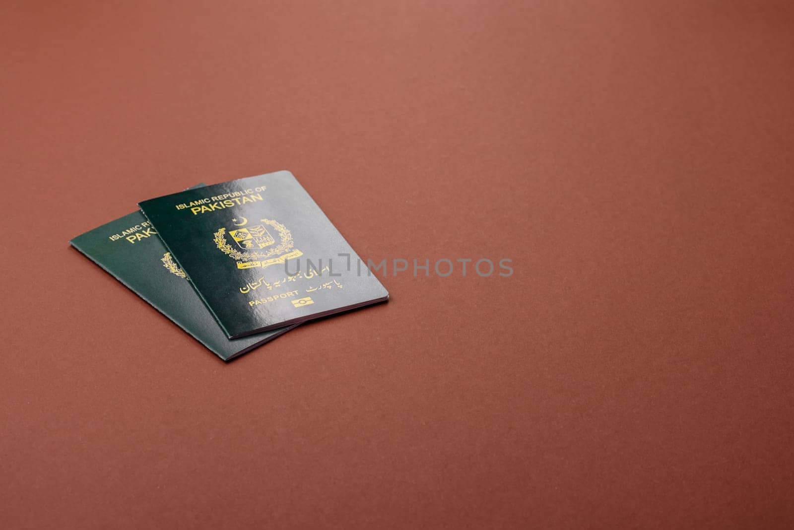 Pakistanian International Citizen Passport for global business, emigration and travel