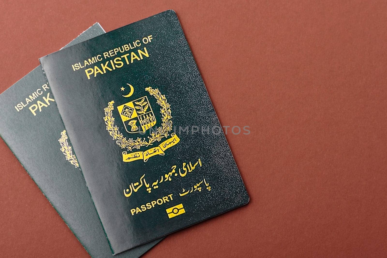 Pakistanian International Citizen Passport for global business, emigration and travel