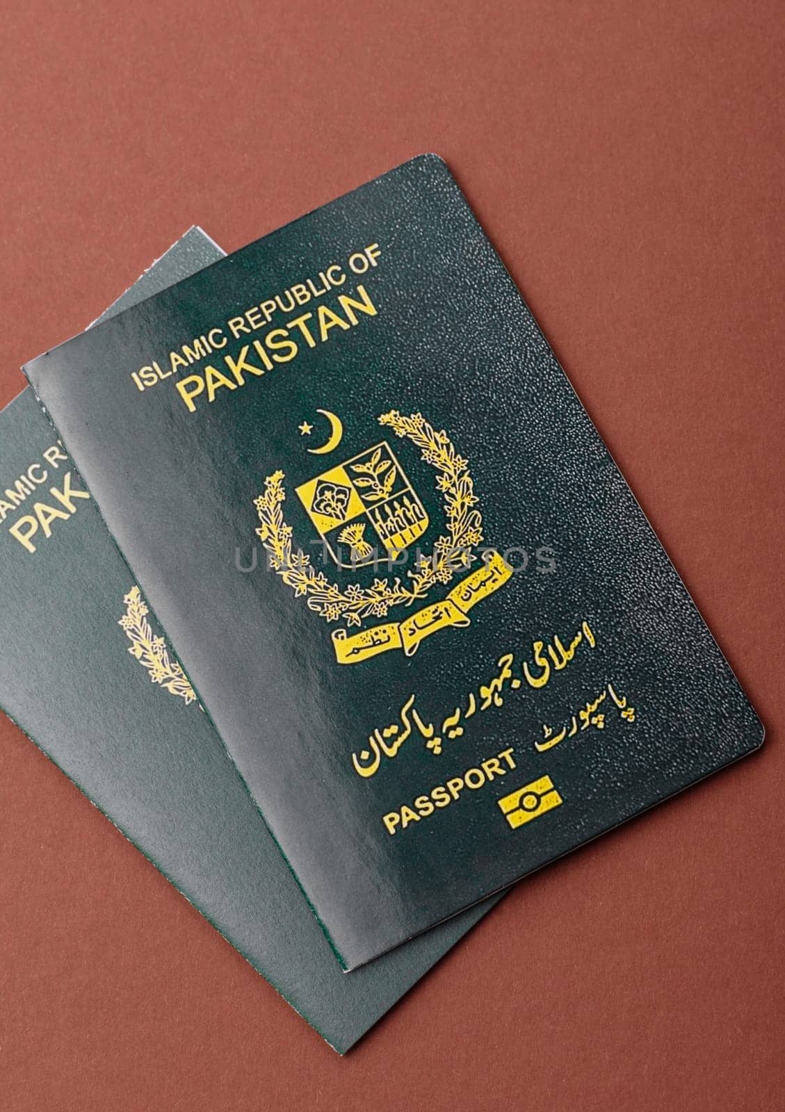 Pakistanian International Citizen Passport for global business, emigration and travel