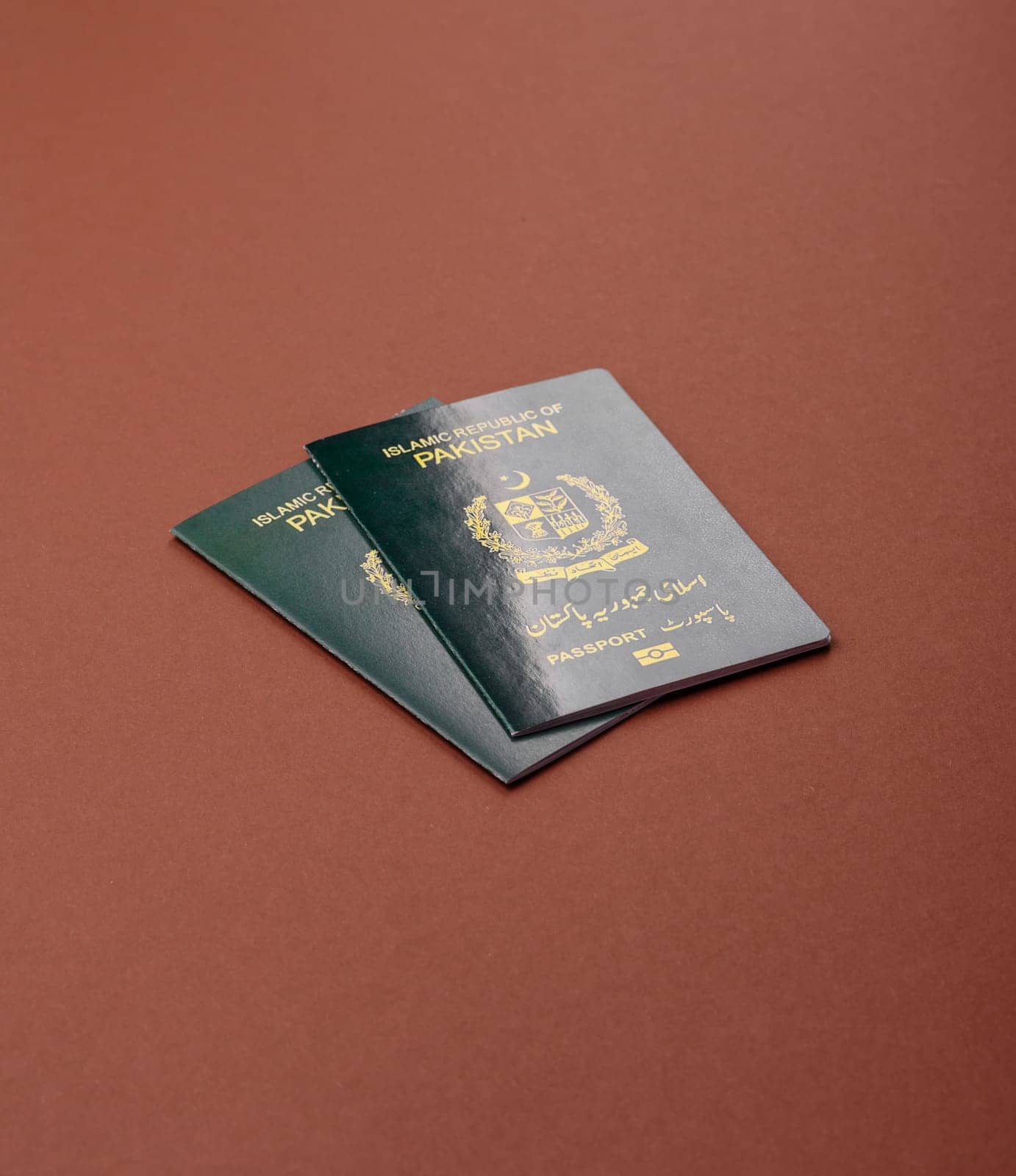 Pakistanian International Citizen Passport for global business, emigration and travel