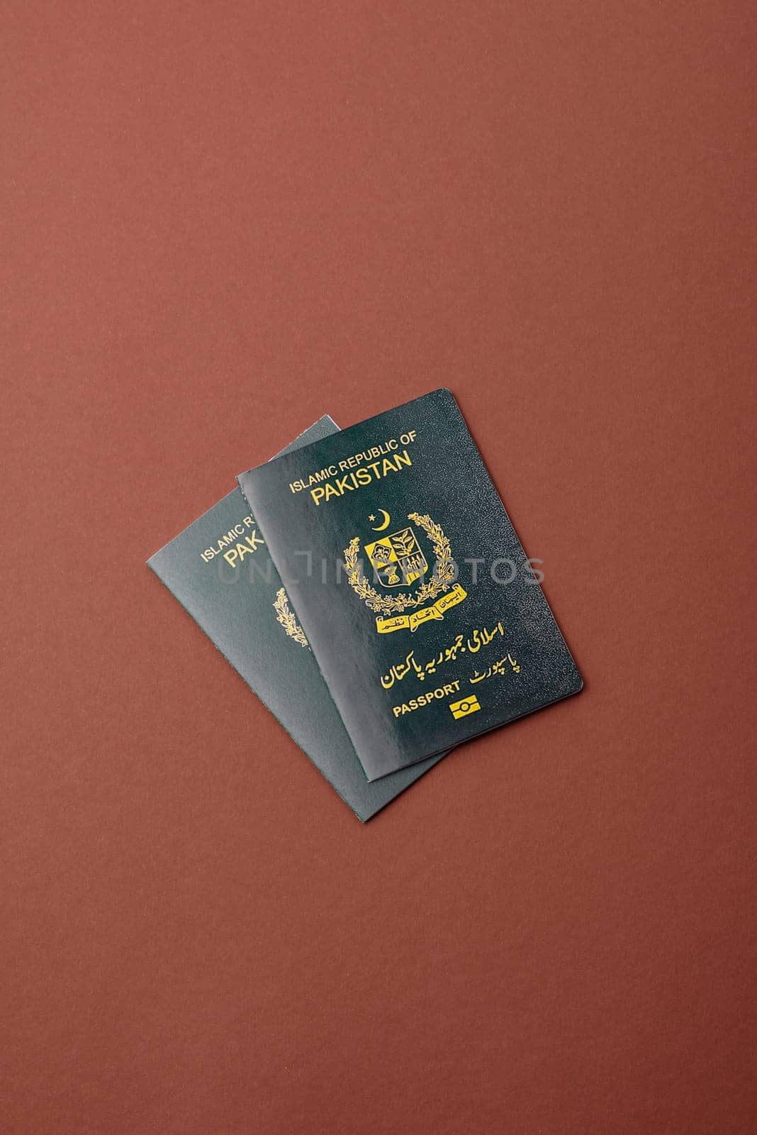 Pakistanian International Citizen Passport for global business, emigration and travel