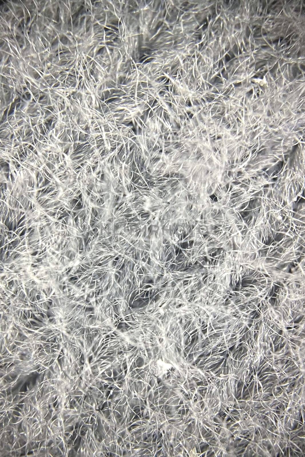Close-up view of fabric fibers under a microscope, revealing intricate texture and structural complexity.